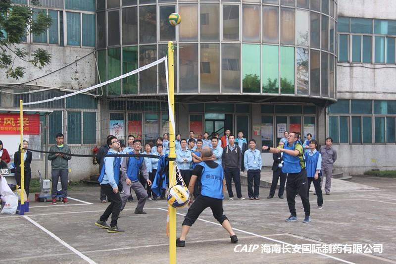 亚洲男女在线观看视频