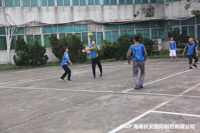 亚洲男女在线观看视频