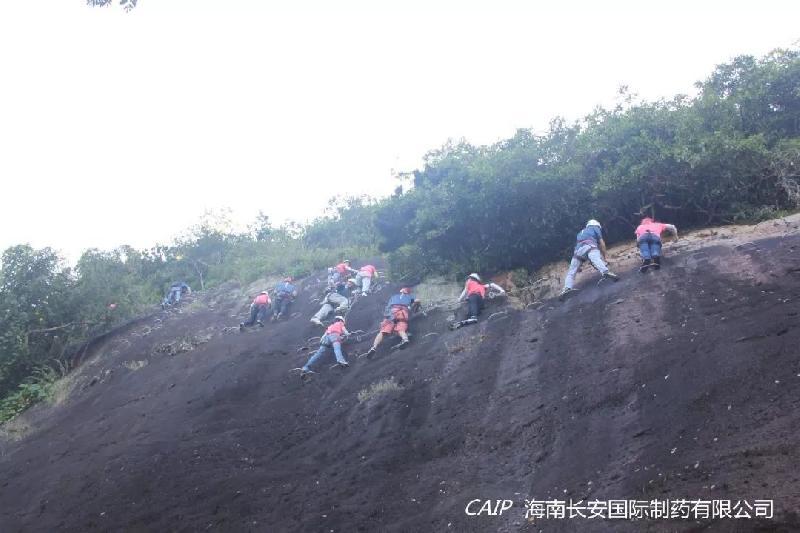 亚洲男女在线观看视频