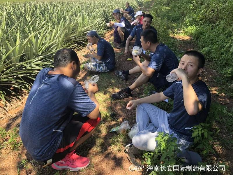 亚洲男女在线观看视频