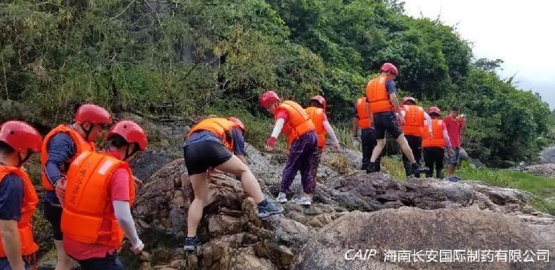 亚洲男女在线观看视频