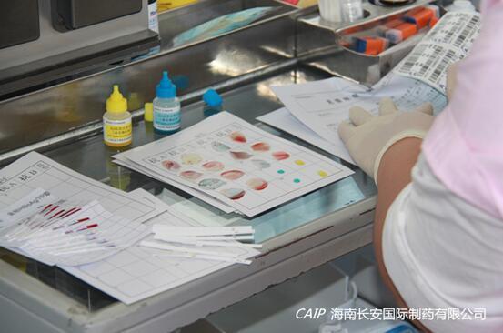 亚洲男女在线观看视频