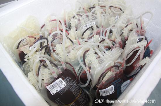 亚洲男女在线观看视频