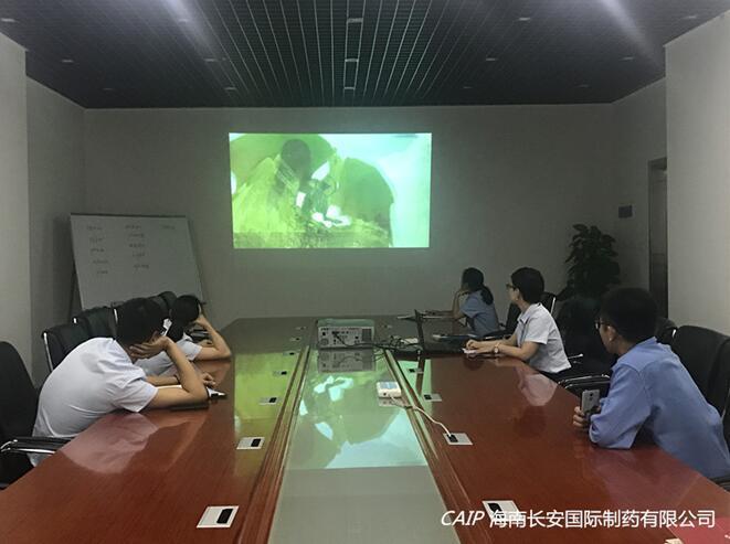 亚洲男女在线观看视频
