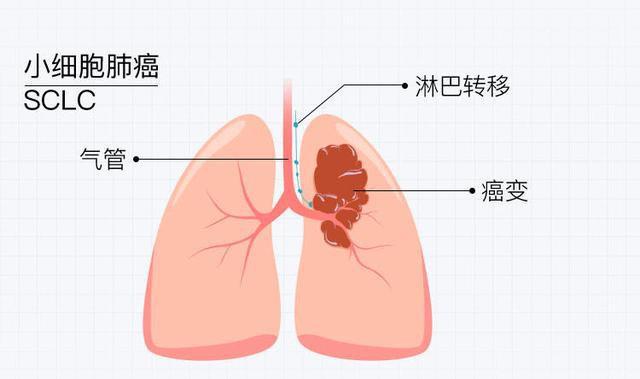 亚洲男女在线观看视频