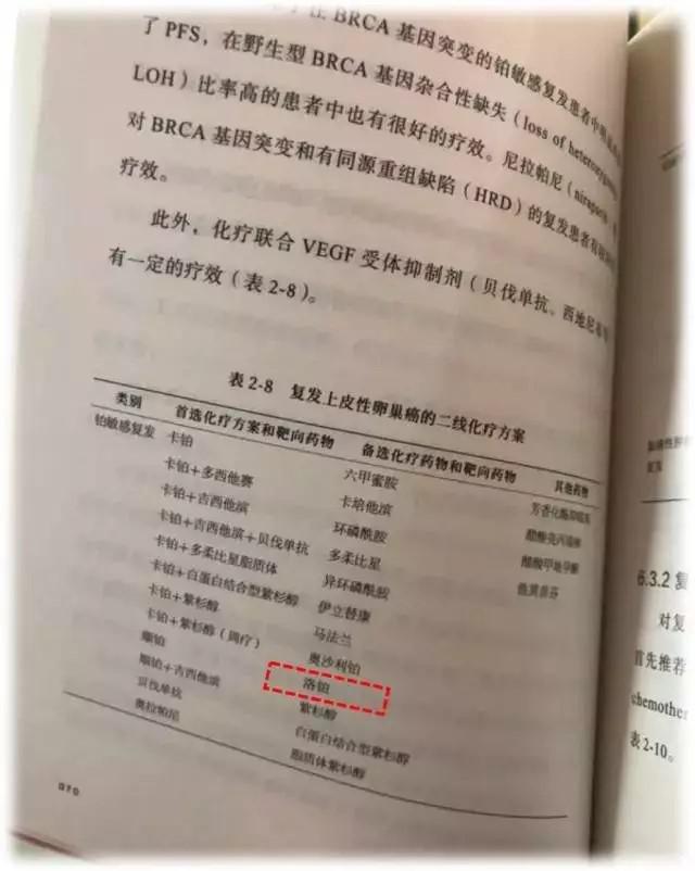 亚洲男女在线观看视频