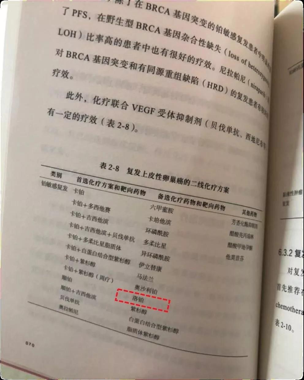 亚洲男女在线观看视频