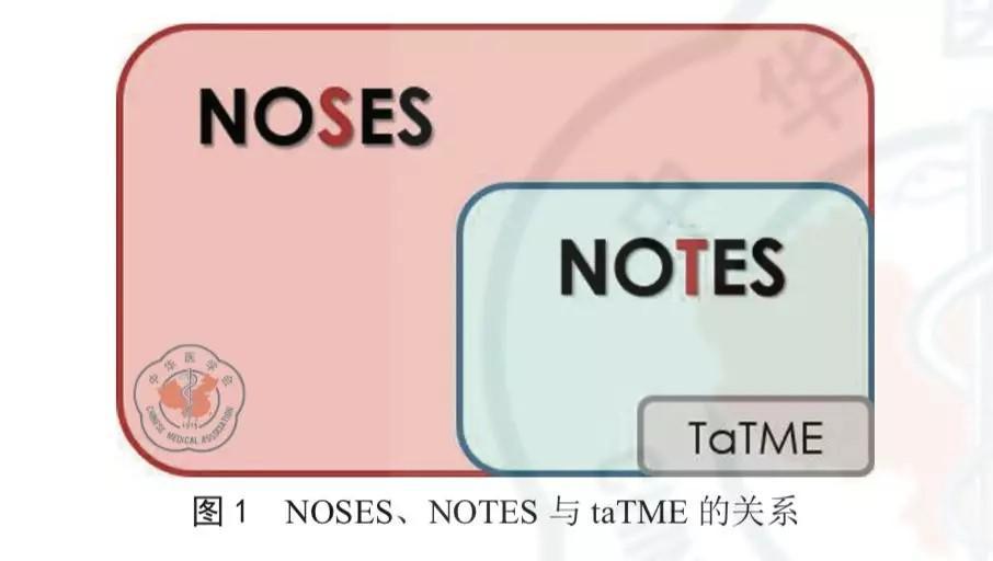 亚洲男女在线观看视频