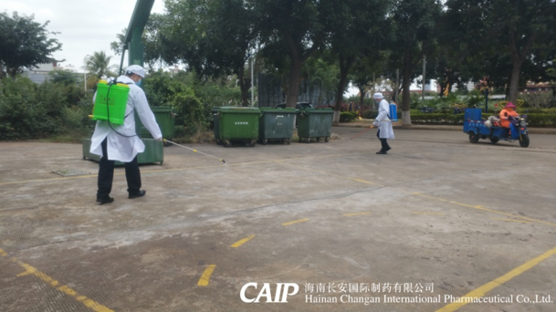 亚洲男女在线观看视频