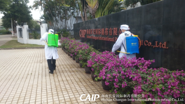 亚洲男女在线观看视频