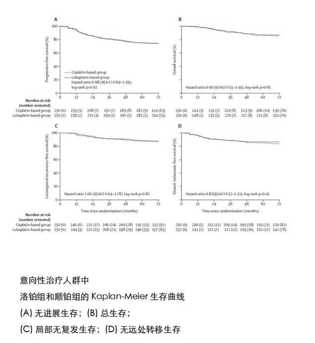 亚洲男女在线观看视频