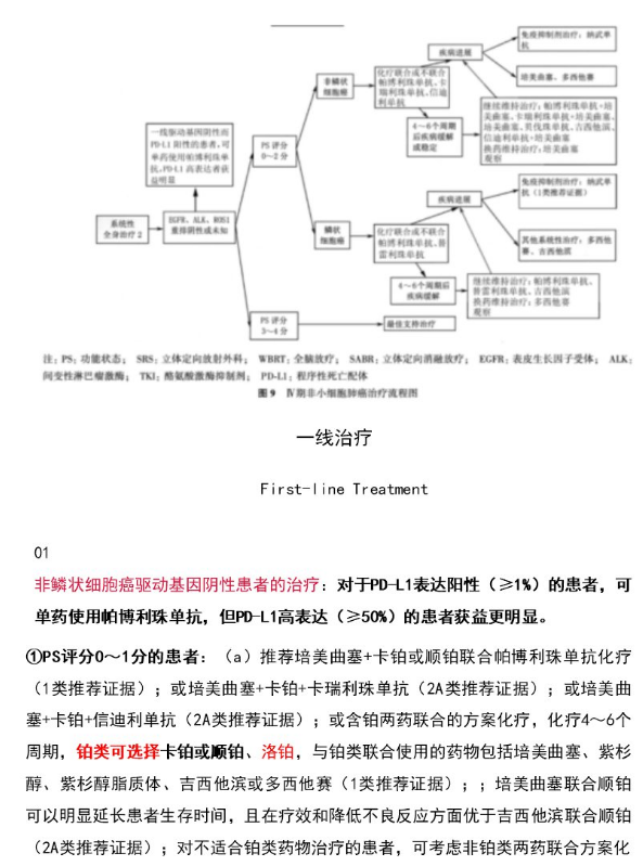 亚洲男女在线观看视频