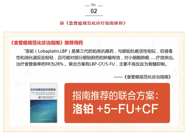 亚洲男女在线观看视频