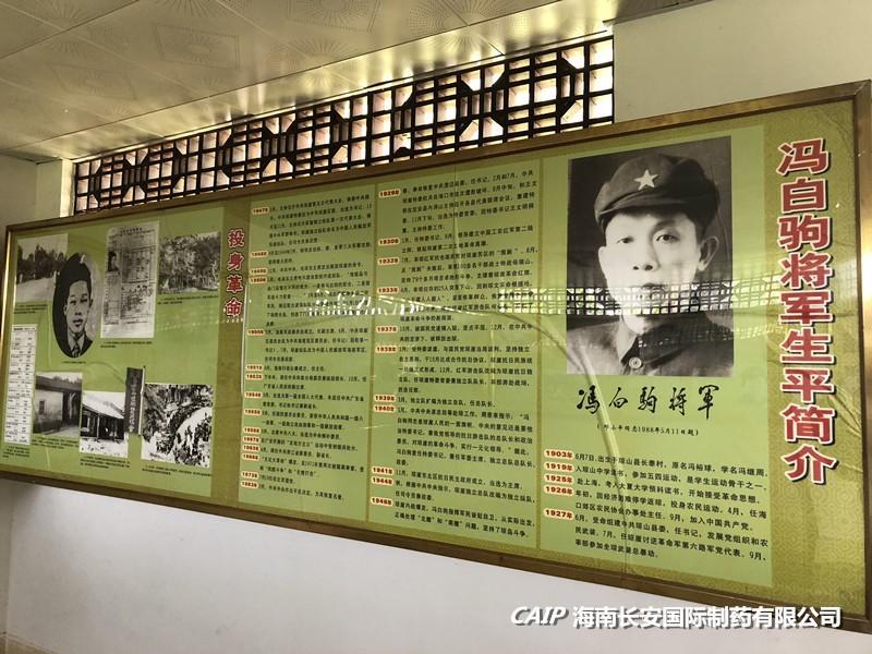 亚洲男女在线观看视频